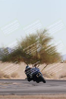 media/Nov-30-2025-TrackXperience (Sun) [[c0061d280f]]/2-Level 2/Session 6 Turn 4 Tree of Life/